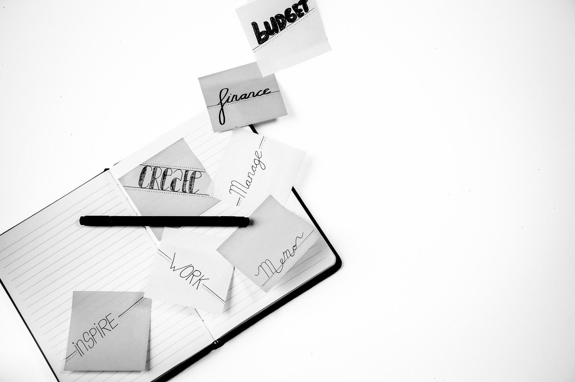 Business Cover Bild – Beispiel Bio-Seite auf meinebio.site